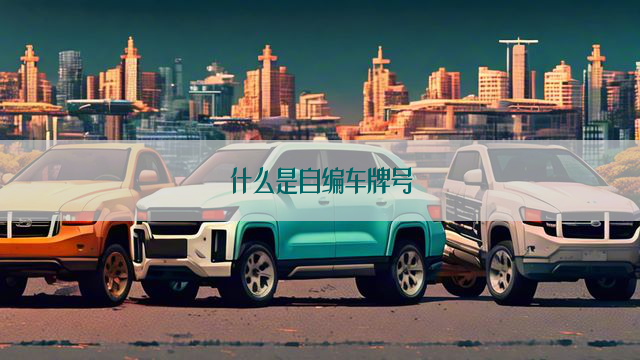 什么是自编车牌号