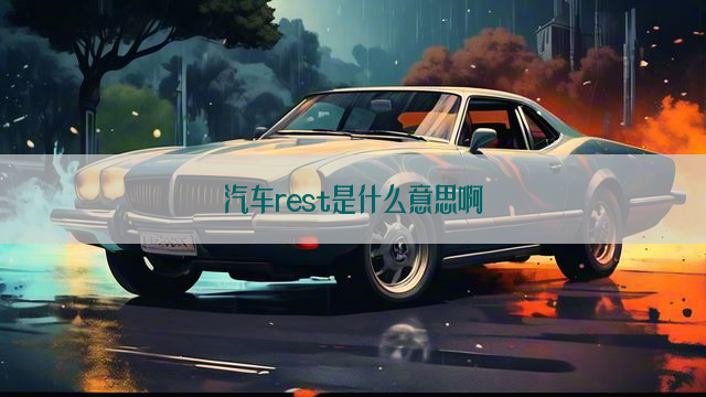 汽车rest是什么意思啊