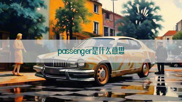 passenger是什么意思