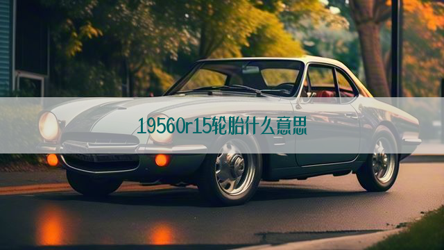 19560r15轮胎什么意思