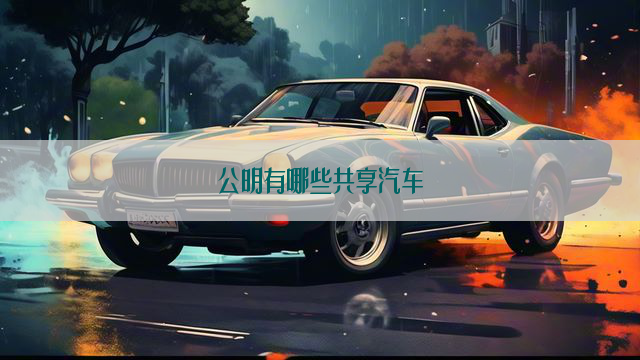 公明有哪些共享汽车