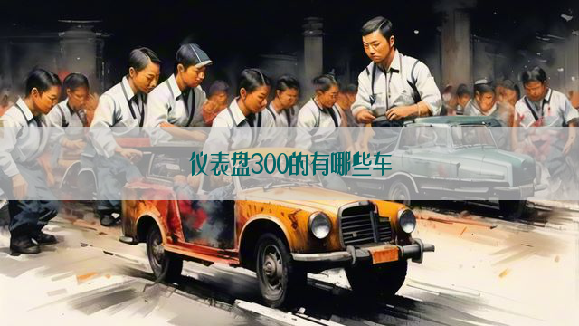 仪表盘300的有哪些车