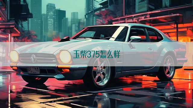 玉柴375怎么样