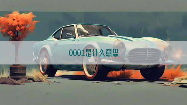 0001是什么意思