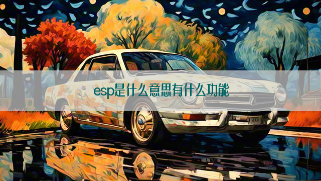 esp是什么意思有什么功能